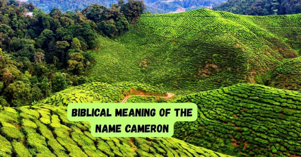 Biblical Meaning of the Name Cameron