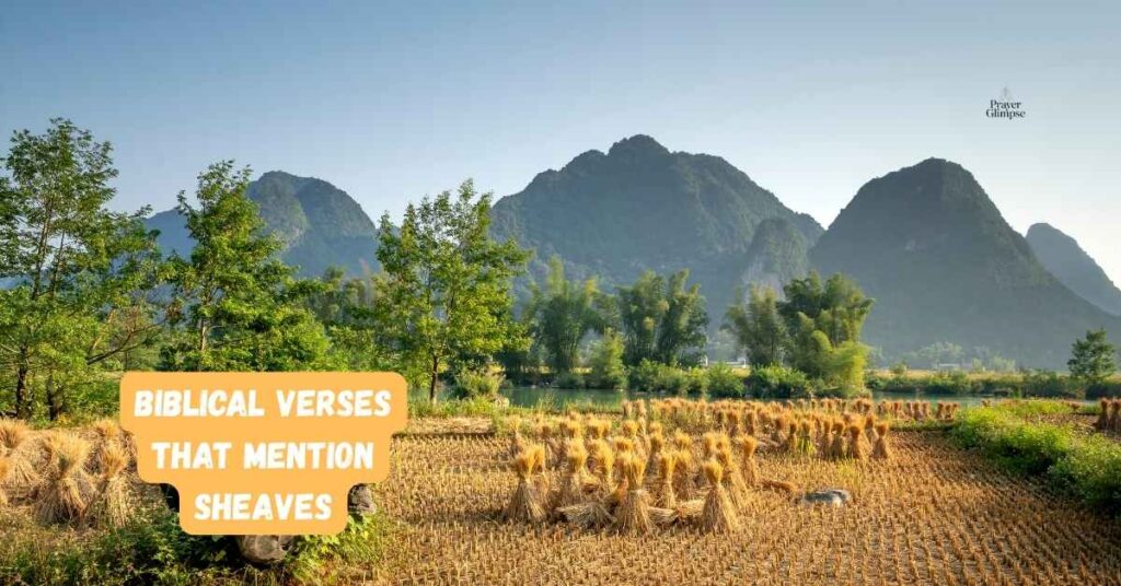 Biblical Verses That Mention Sheaves