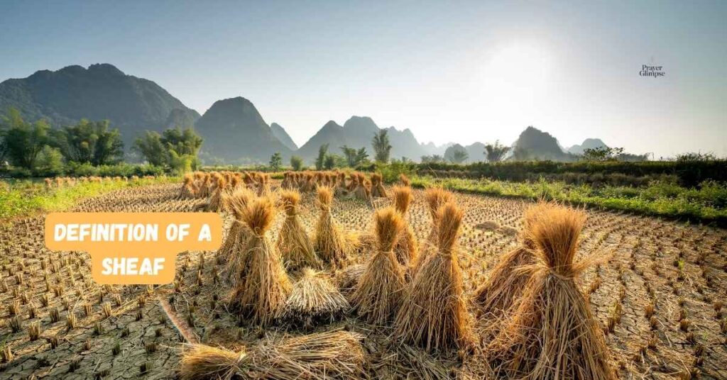 Definition of a Sheaf