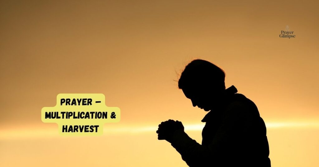 Prayer – Multiplication & Harvest