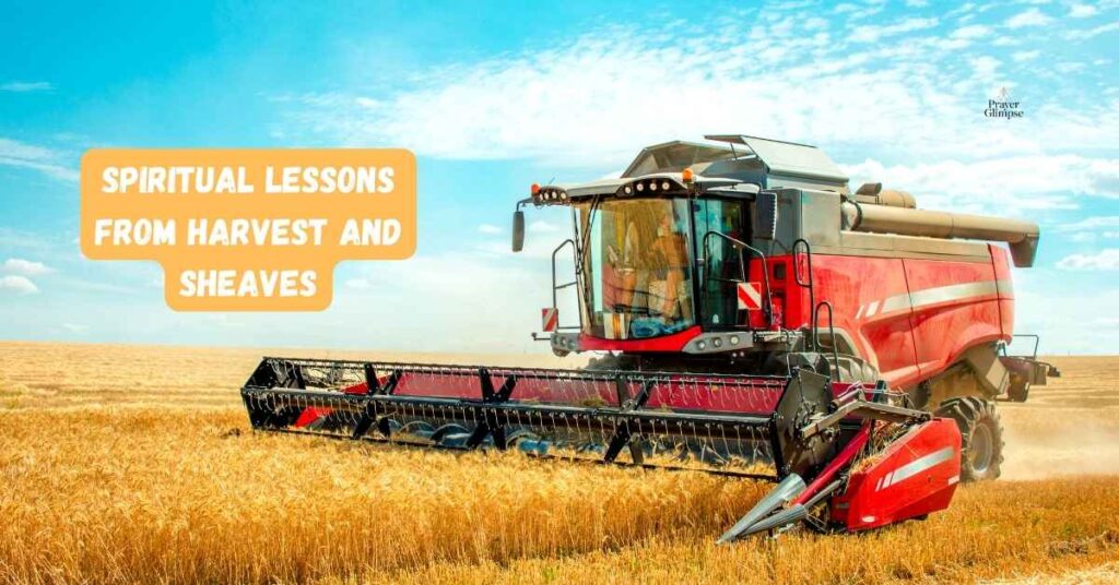 Spiritual Lessons from Harvest and Sheaves