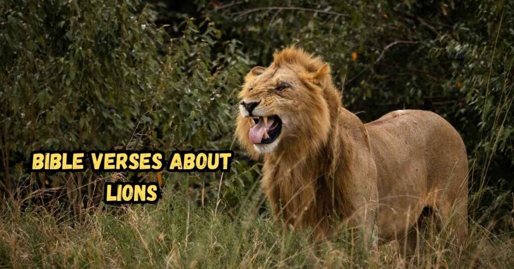 Bible Verses About Lions