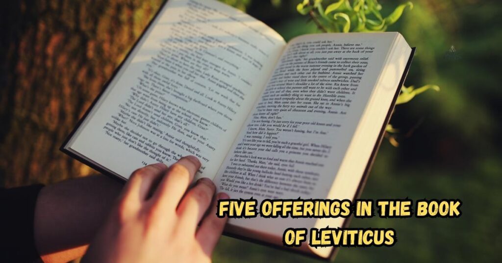 Five Offerings in the Book of Leviticus